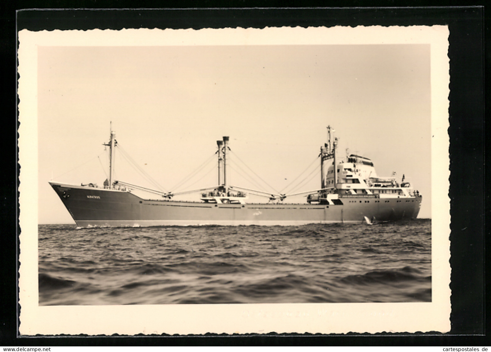 AK Frachtmotorschiff MS Albatros  - Commerce