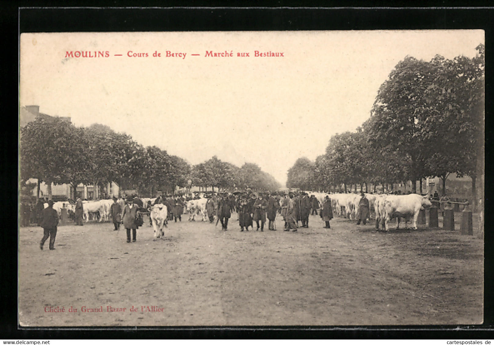 CPA Moulins, Cours De Bercy Marché Aux Bestiaux  - Moulins