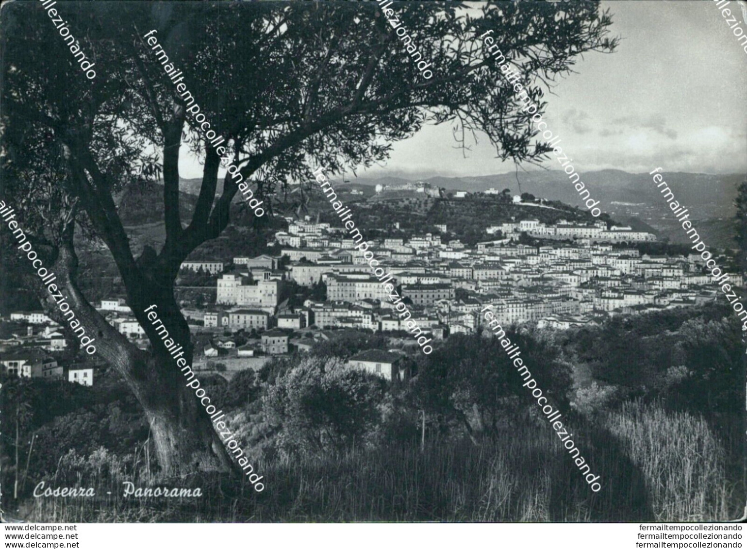 Ao688 Cartolina Cosenza Citta' Panorama - Cosenza