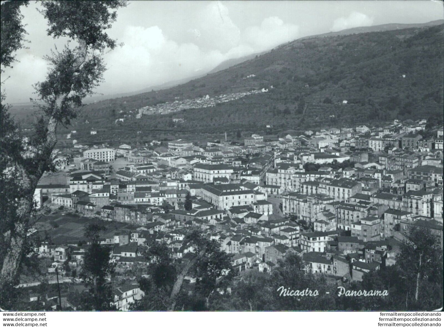 Ah719 Cartolina Nicastro Panorama - Catanzaro