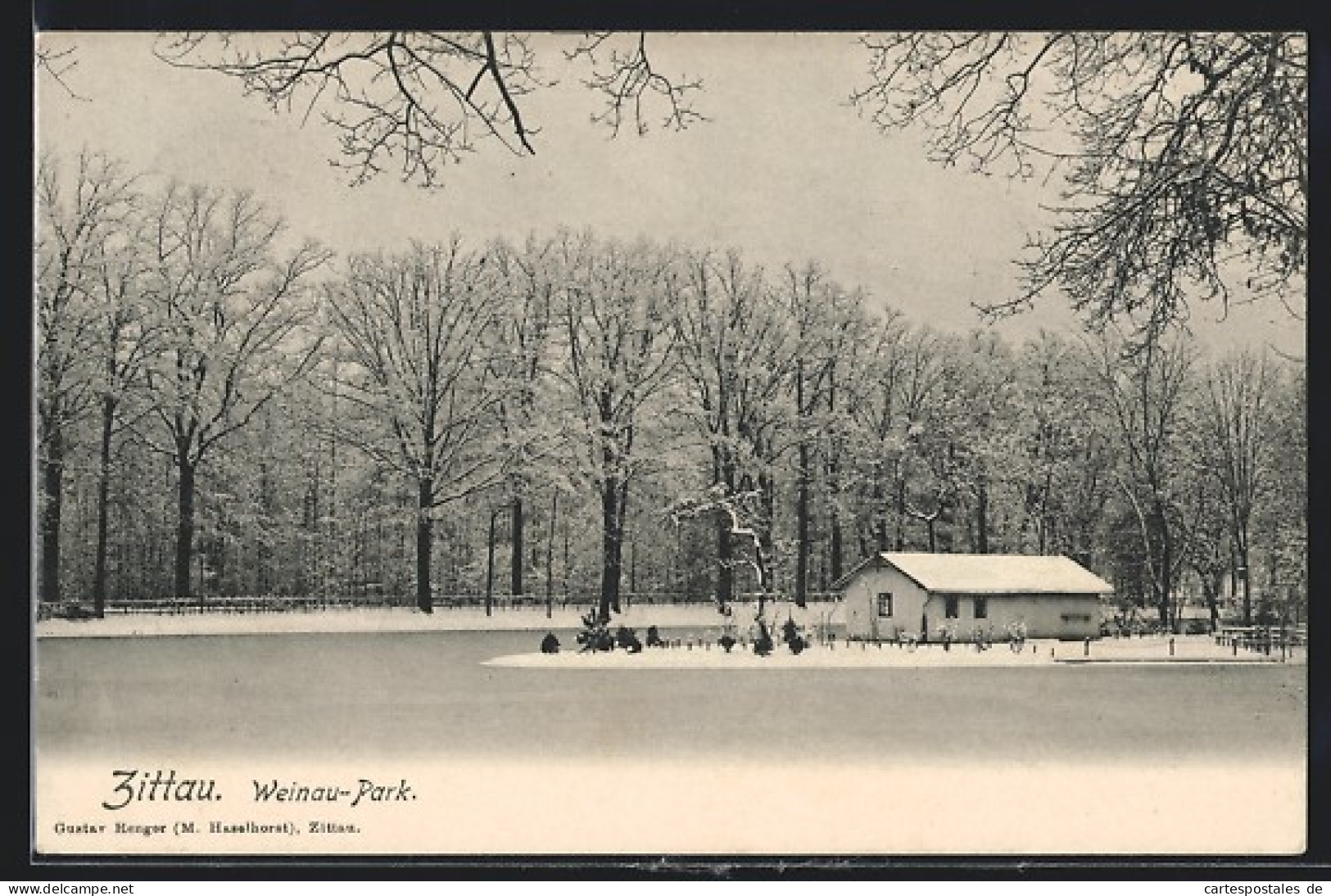 AK Zittau, Weinau-Park Im Winter  - Zittau