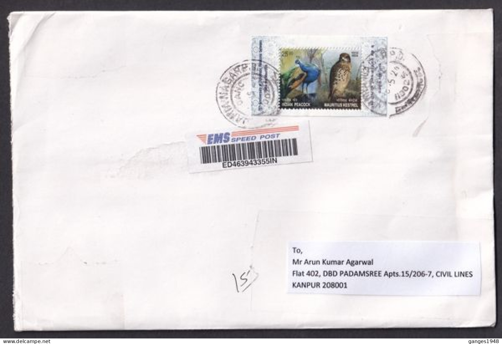 India - Mauritius Joint Issue  Peacock And Kestrel Bird Of Prey  2v MS On Mailed Cover  #  36603  D  Inde Indien - Paons