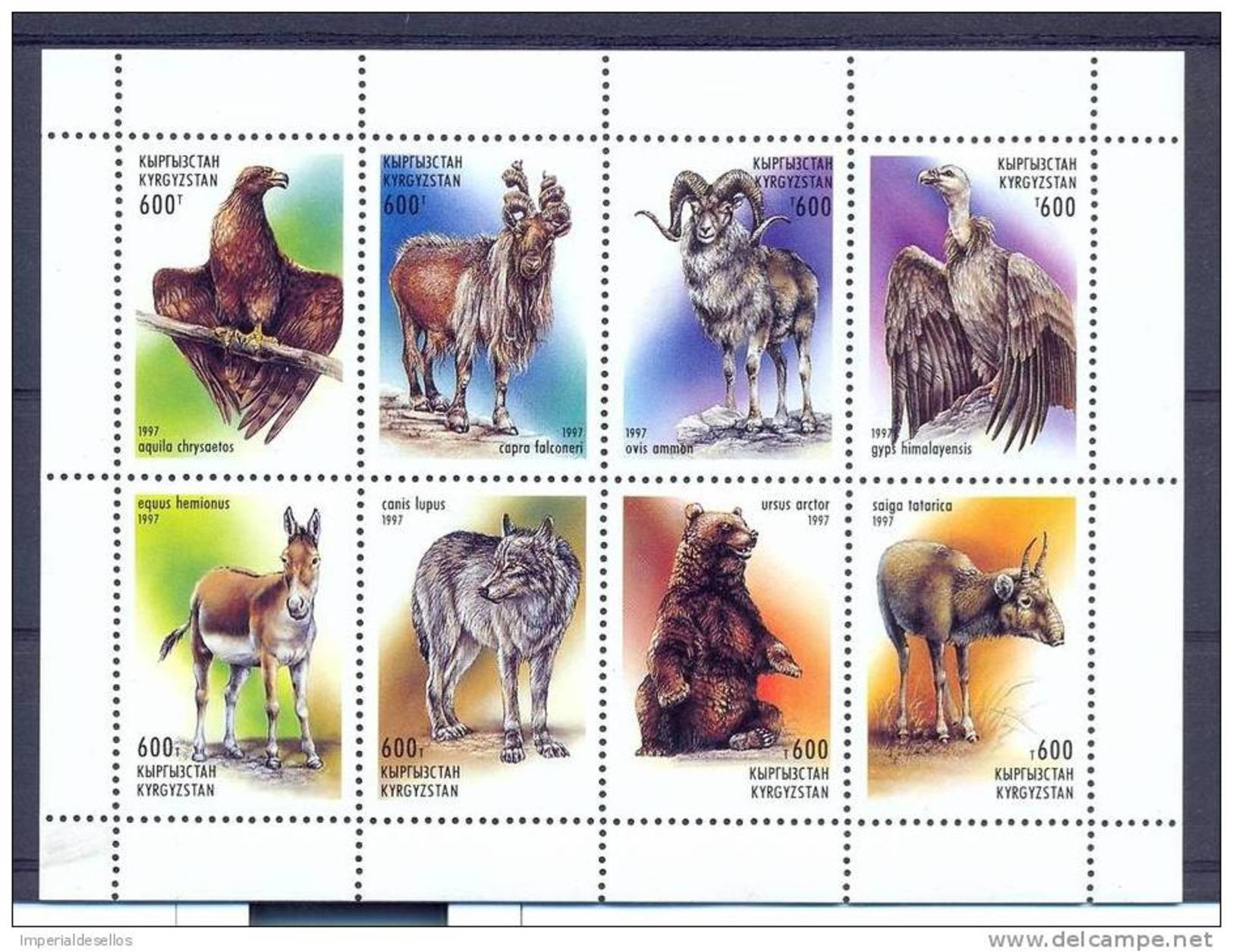 Kyrgyzstan 1997 Fauna. Birds Of Prey And Animals. M/S** - Kirgisistan