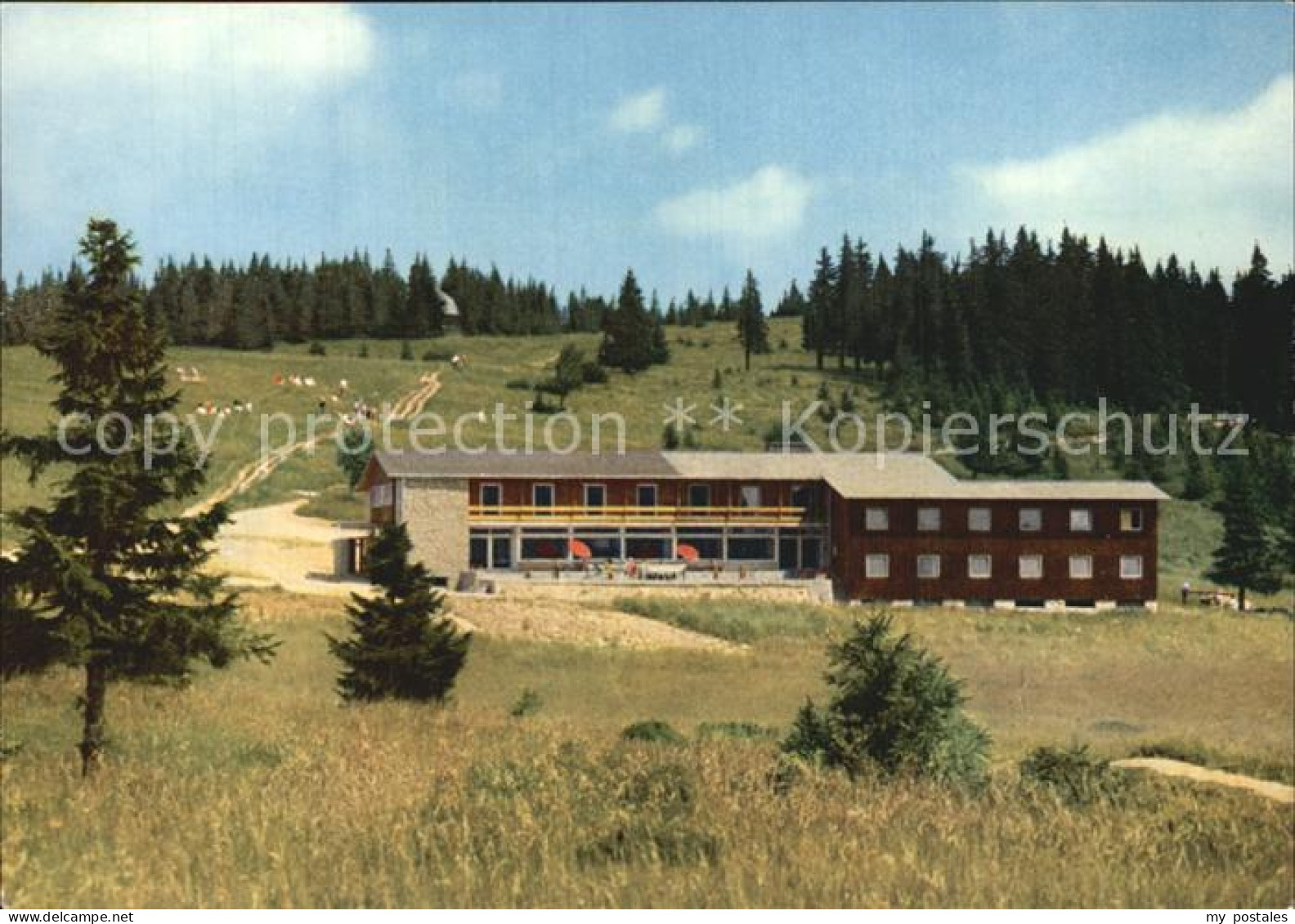 72598355 Feldberg Schwarzwald Berghotel Herzogenhorn Feldberg - Feldberg