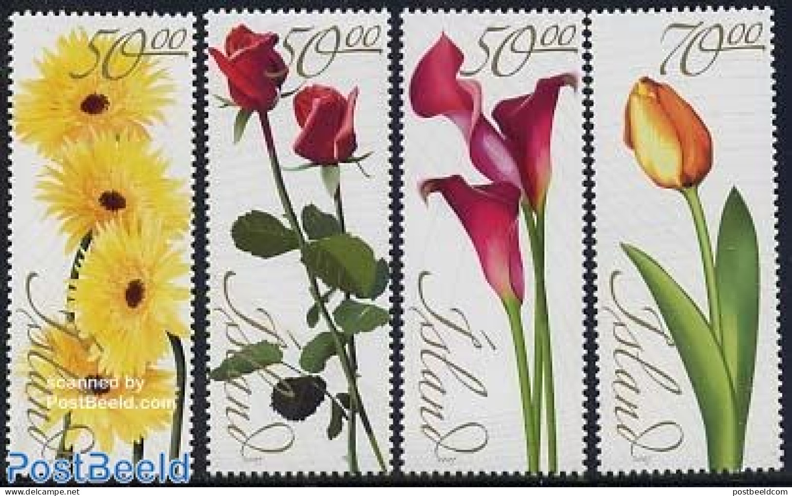 Iceland 2005 Flowers 4v, Mint NH, Nature - Flowers & Plants - Roses - Neufs
