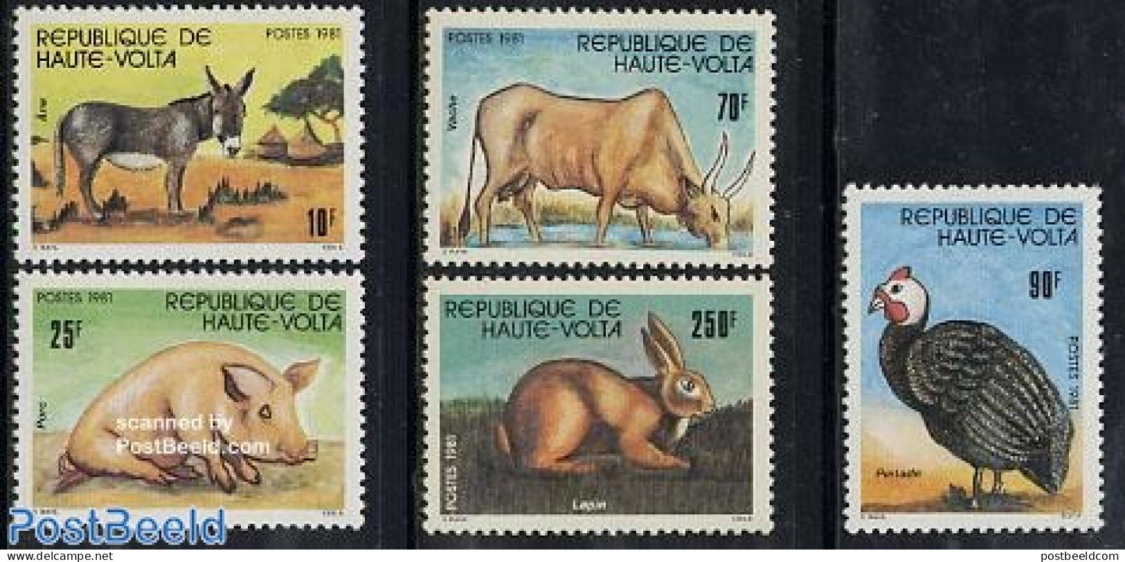 Upper Volta 1981 Domestic Animals 5v, Mint NH, Nature - Animals (others & Mixed) - Birds - Cattle - Poultry - Rabbits .. - Autres & Non Classés