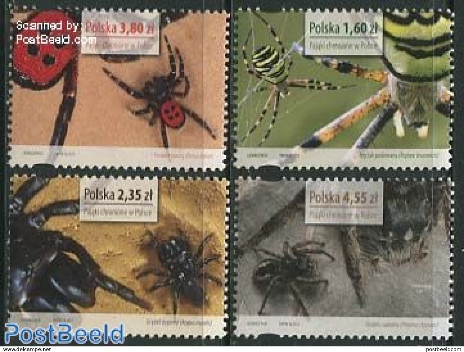Poland 2013 Endangered Spiders 4v, Mint NH, Nature - Animals (others & Mixed) - Insects - Neufs