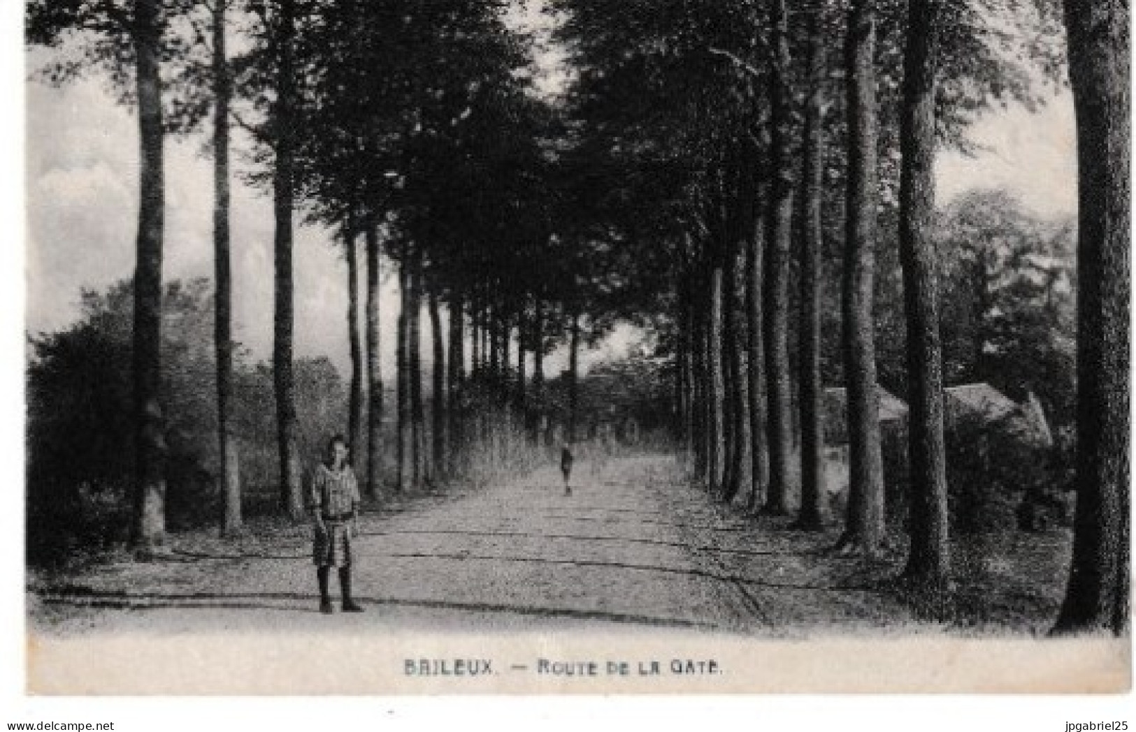 Baileux Route De La Gate - Ath