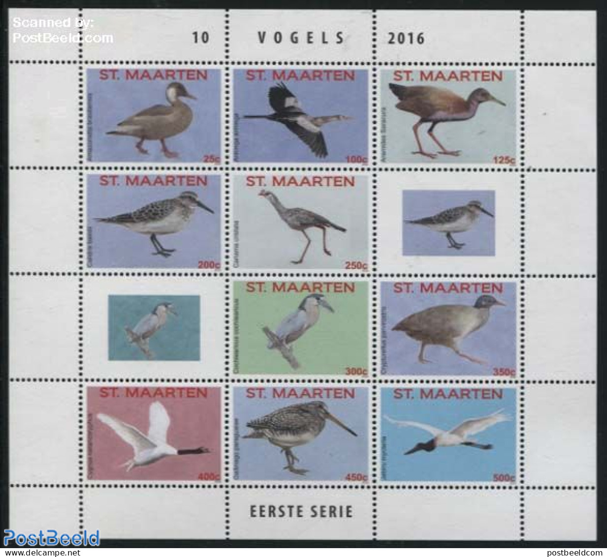St. Maarten 2016 Birds 10v M/s, Mint NH, Nature - Birds - Other & Unclassified