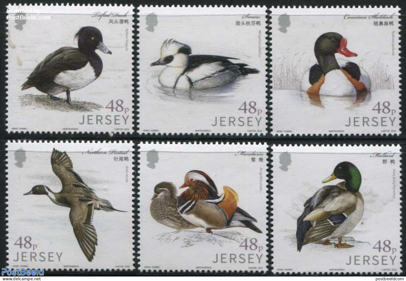 Jersey 2016 Links With China - Waterfowl 6v, Mint NH, Nature - Birds - Ducks - Jersey