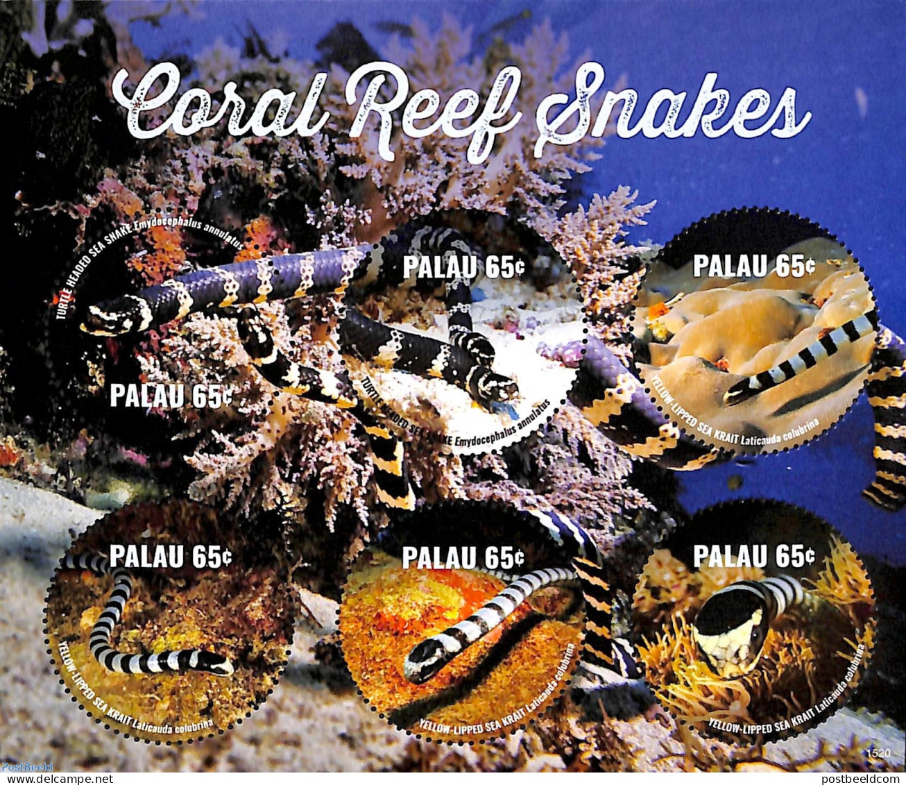 Palau 2015 Coral Reef Snakes 5v M/s, Mint NH, Reptiles - Snakes - Autres & Non Classés