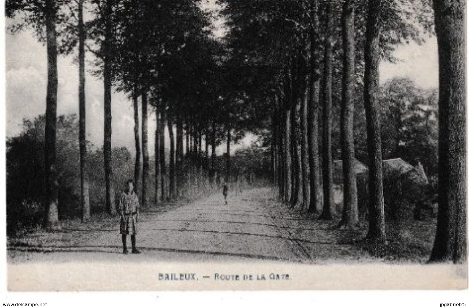 Baileux Route De La Gate - Ath