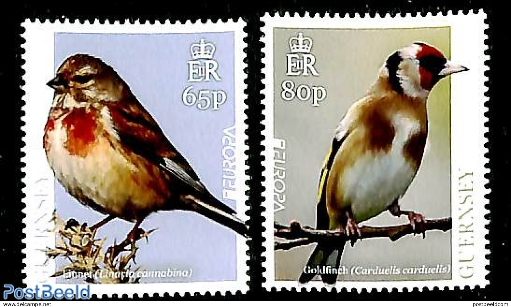 Guernsey 2019 Europa, Birds 2v, Mint NH, History - Nature - Europa (cept) - Birds - Guernesey