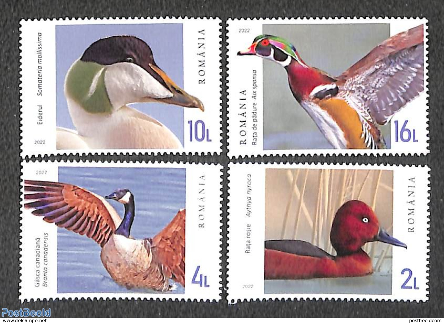 Romania 2022 Ducks & Gooses 4v, Mint NH, Nature - Birds - Ducks - Unused Stamps