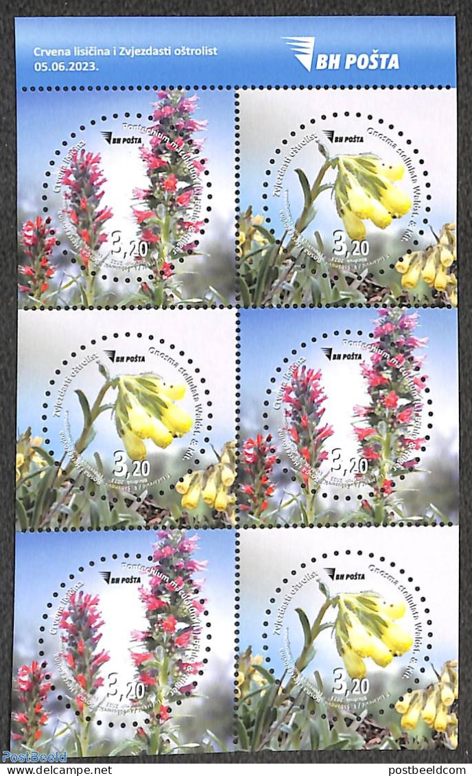 Bosnia Herzegovina 2023 Flora 6v In Booklet, Mint NH, Nature - Flowers & Plants - Stamp Booklets - Non Classés
