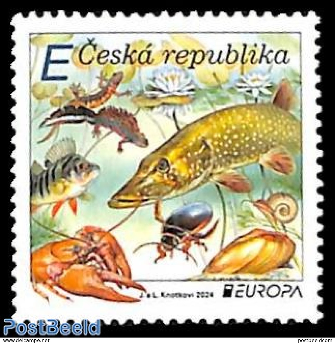 Czech Republic 2024 Europa, Marine Life 1v, Mint NH, History - Nature - Europa (cept) - Fish - Shells & Crustaceans - .. - Autres & Non Classés