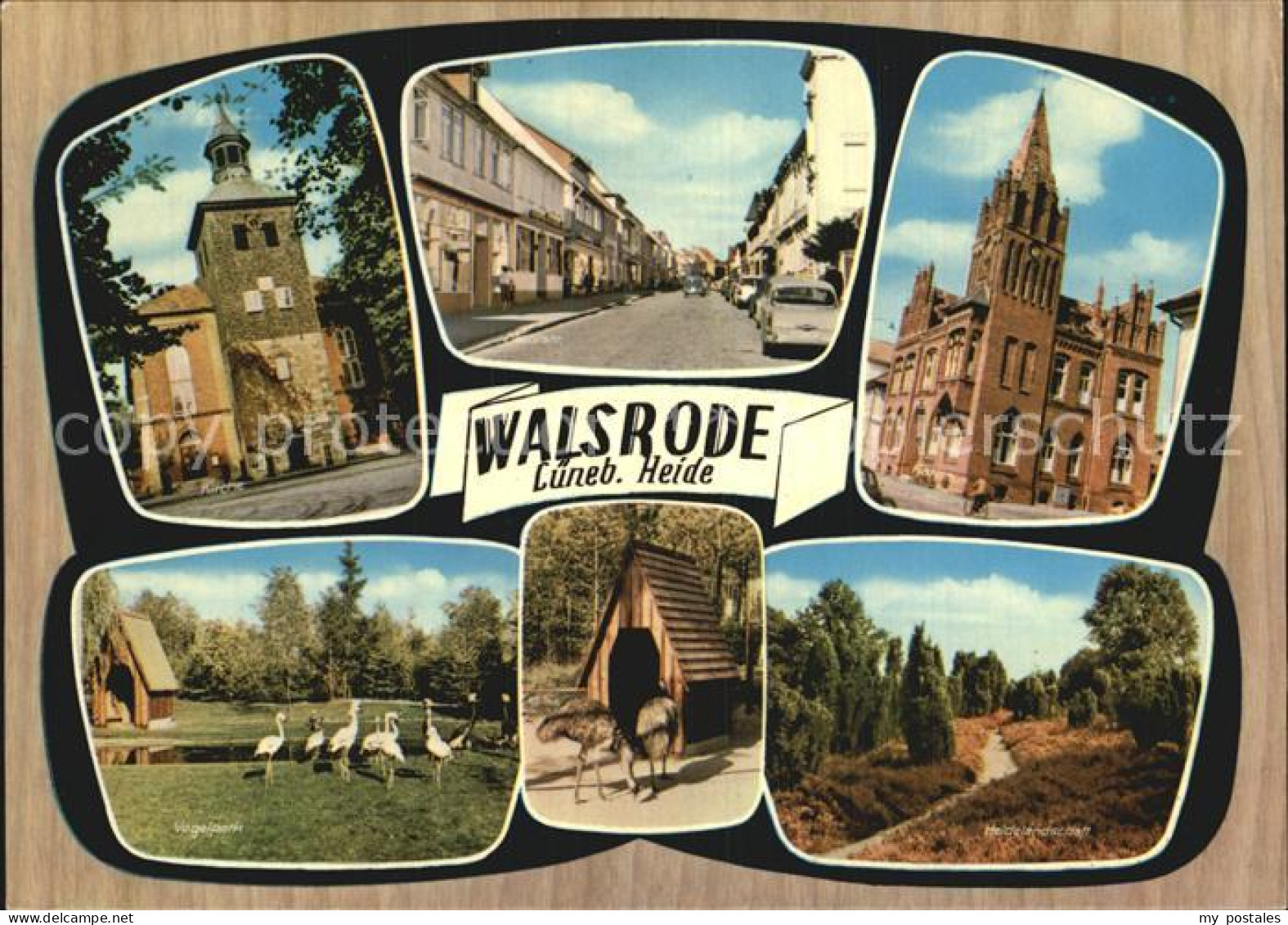 72595755 Walsrode Lueneburger Heide Teilansichten Turm Kirche Vogelpark Heidelan - Walsrode