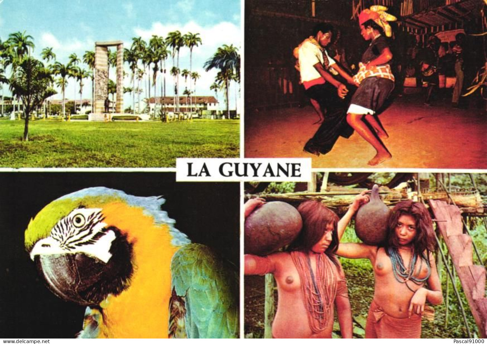 LA GUYANE  Multivue ( 4 Vues ) - Other & Unclassified