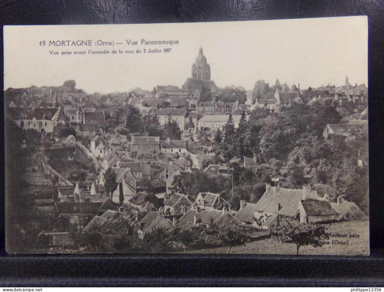 61245 . MORTAGNE . VUE PANORAMIQUE . AVANT L'INCENDIE DE LA TOUR . - Mortagne Au Perche