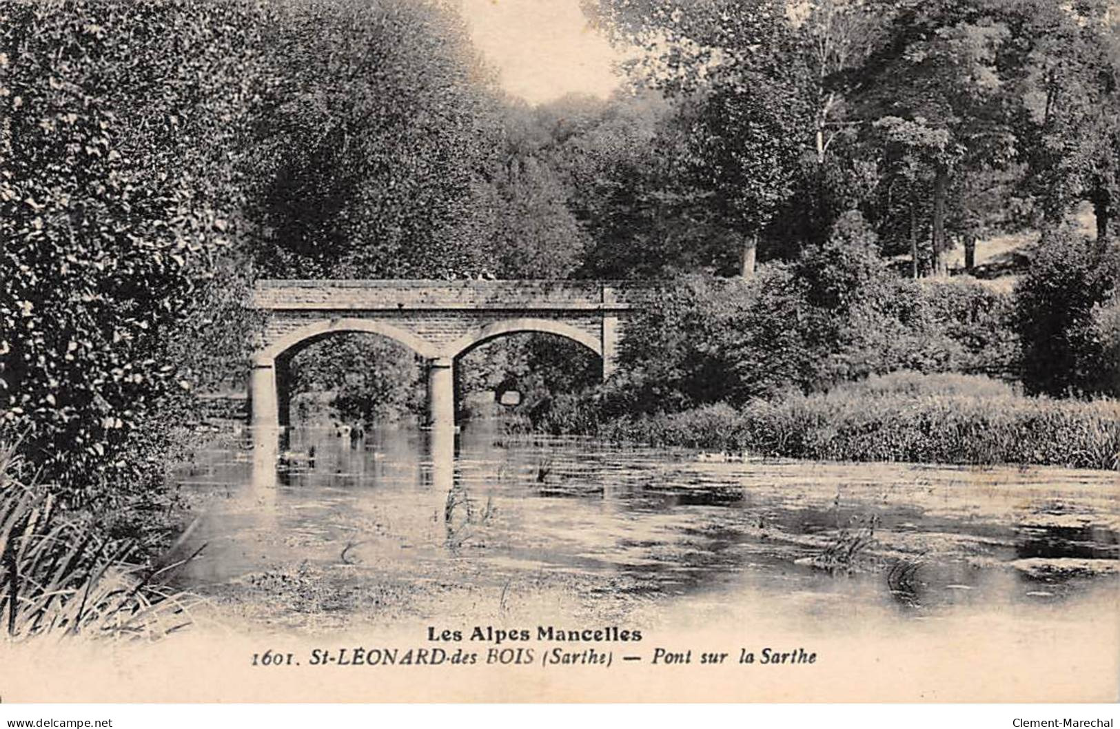 SAINT LEONARD DES BOIS - Pont Sur La Sarthe - Très Bon état - Saint Leonard Des Bois