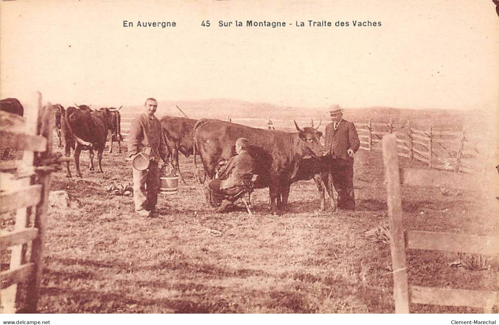 En Auvergne - Sur La Montagne - La Traite Des Vaches - Très Bon état - Auvergne Types D'Auvergne