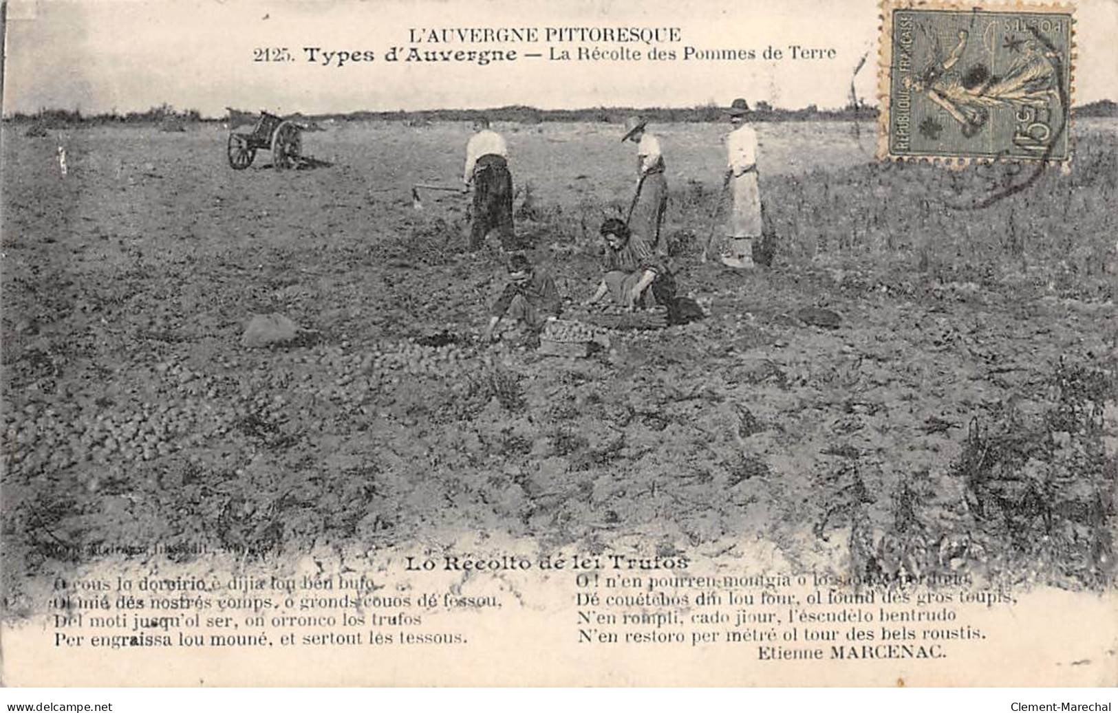 Types D'Auvergne - La Récolte Des Pommes De Terre - Très Bon état - Auvergne Types D'Auvergne