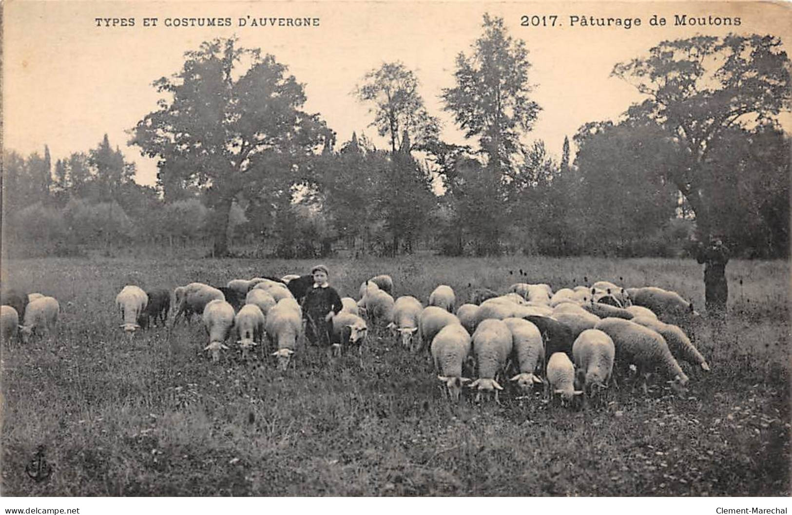 TYPES ET COSTUMES D'AUVERGNE - Pâturage De Moutons - Très Bon état - Auvergne Types D'Auvergne