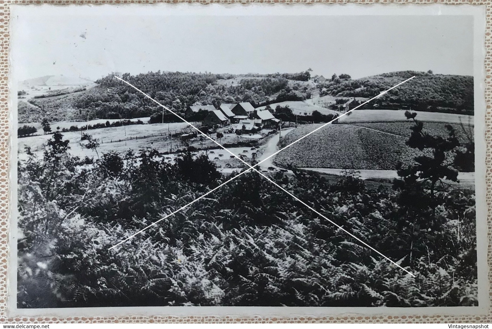 WESTOUTRE Mont-Rouge Roode-Berg Panorama CP Postée En 1948 - Heuvelland