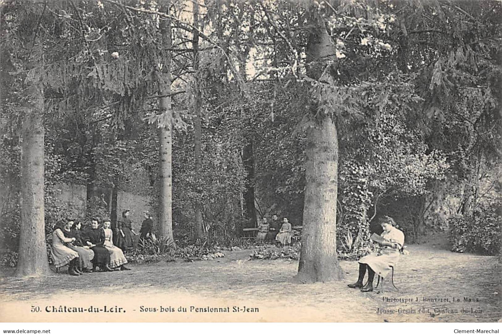 CHATEAU DU LOIR - Sous Bois Du Pensionnat Saint Jean - Très Bon état - Chateau Du Loir