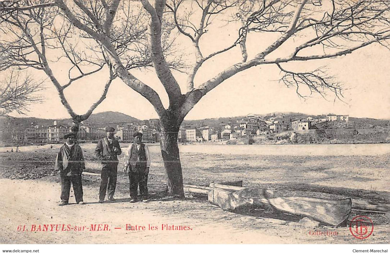 BANYULS SUR MER - Entre Les Platanes - état - Banyuls Sur Mer