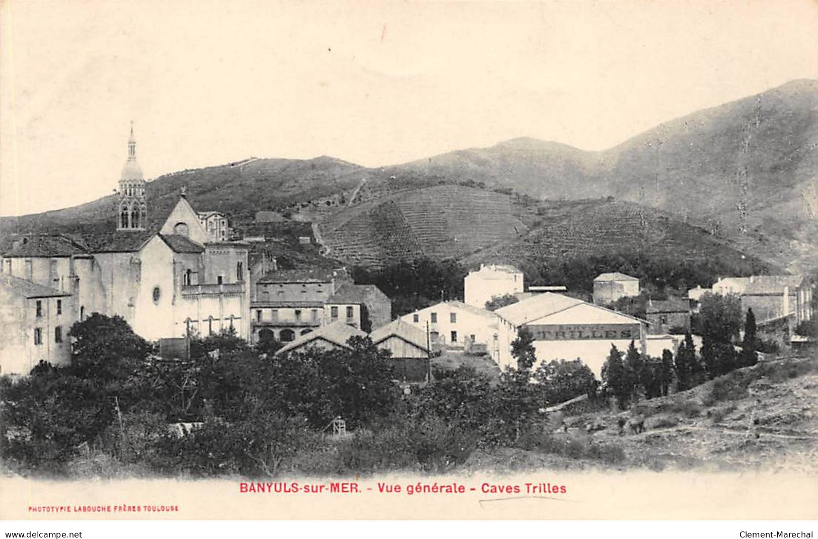 BANYULS SUR MER - Vue Générale - Caves Trilles - Très Bon état - Banyuls Sur Mer