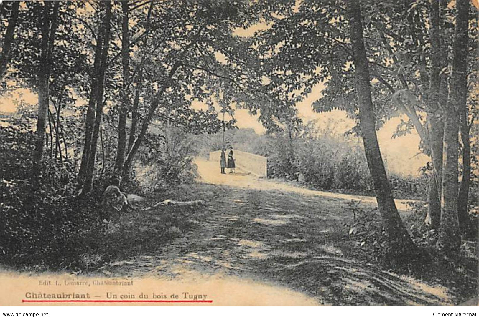 CHATEAUBRIANT - Un Coin Du Bois De Tugny - Très Bon état - Châteaubriant