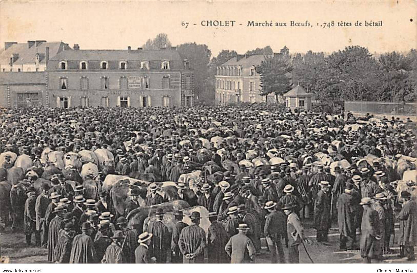 CHOLET - Marché Aux Boeufs - Très Bon état - Cholet