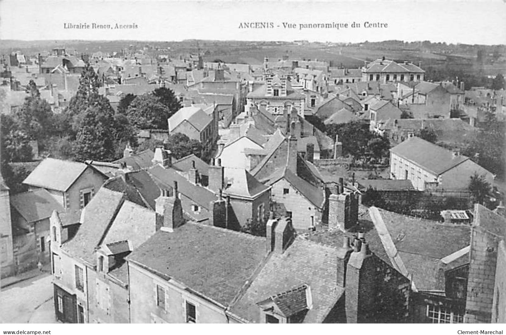 ANCENIS - Vue Panoramique Du Centre - Très Bon état - Ancenis