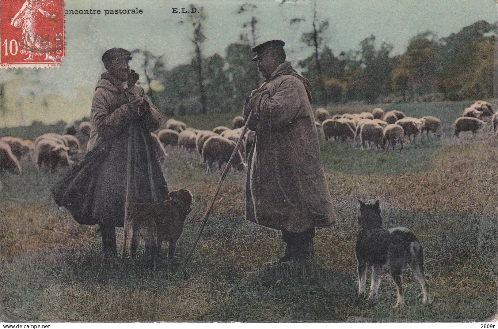 256 Cartes Moutons Bergers Tondeur Collection De 256 Cartes Tous Départements - Otros & Sin Clasificación