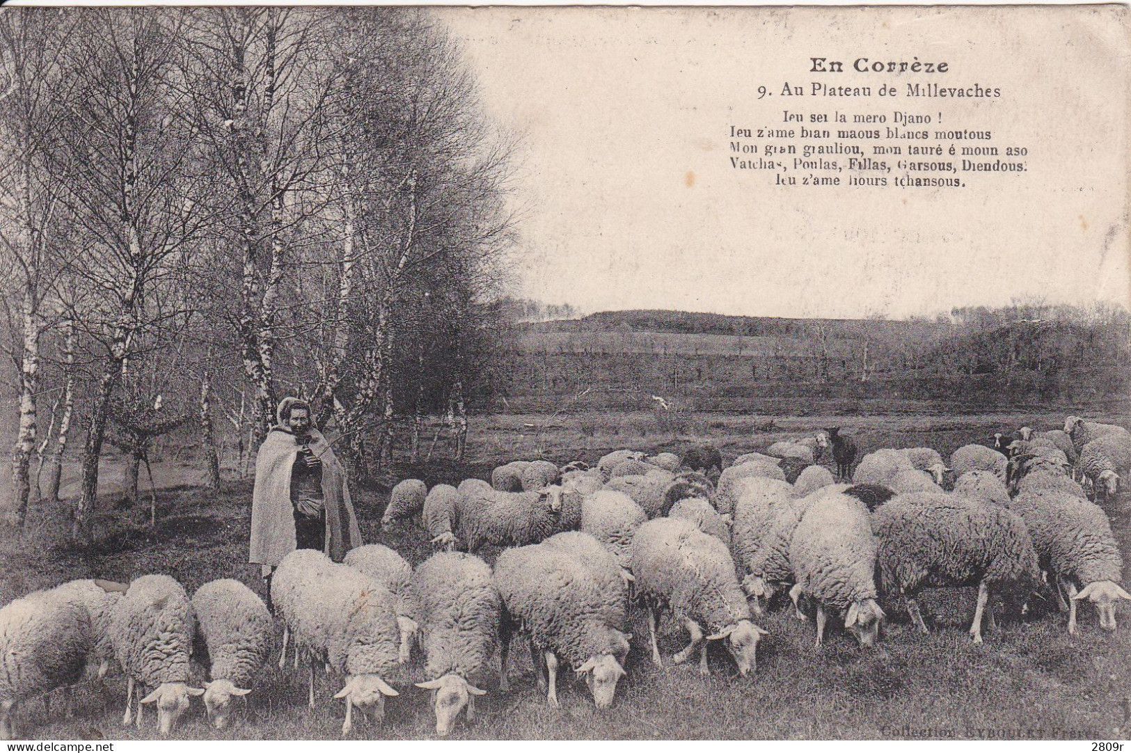 256 Cartes Moutons Bergers Tondeur Collection De 256 Cartes Tous Départements - Autres & Non Classés
