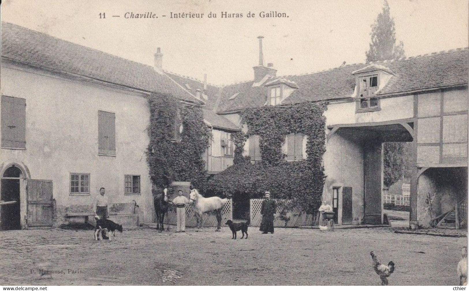 CPA CHAVILLE 92 - Intérieur Du Haras De Gaillon - Chaville