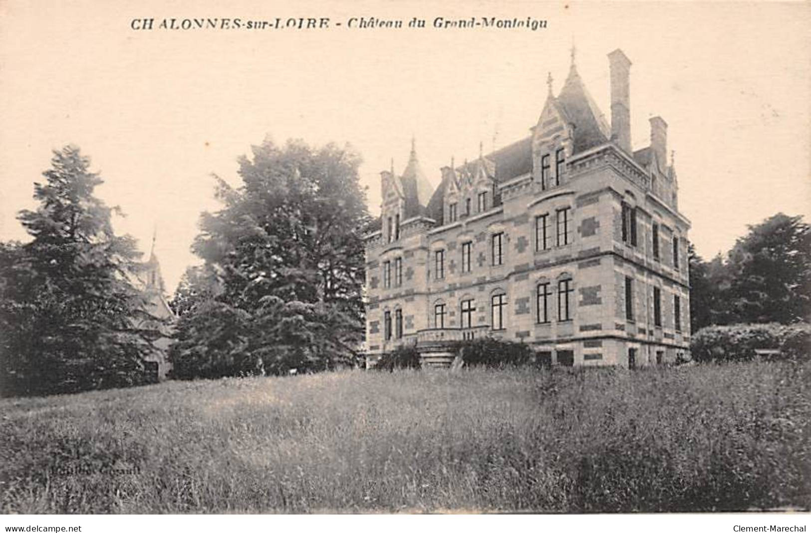CHALONNES SUR LOIRE - Château Du Grand Montaigu - Très Bon état - Chalonnes Sur Loire