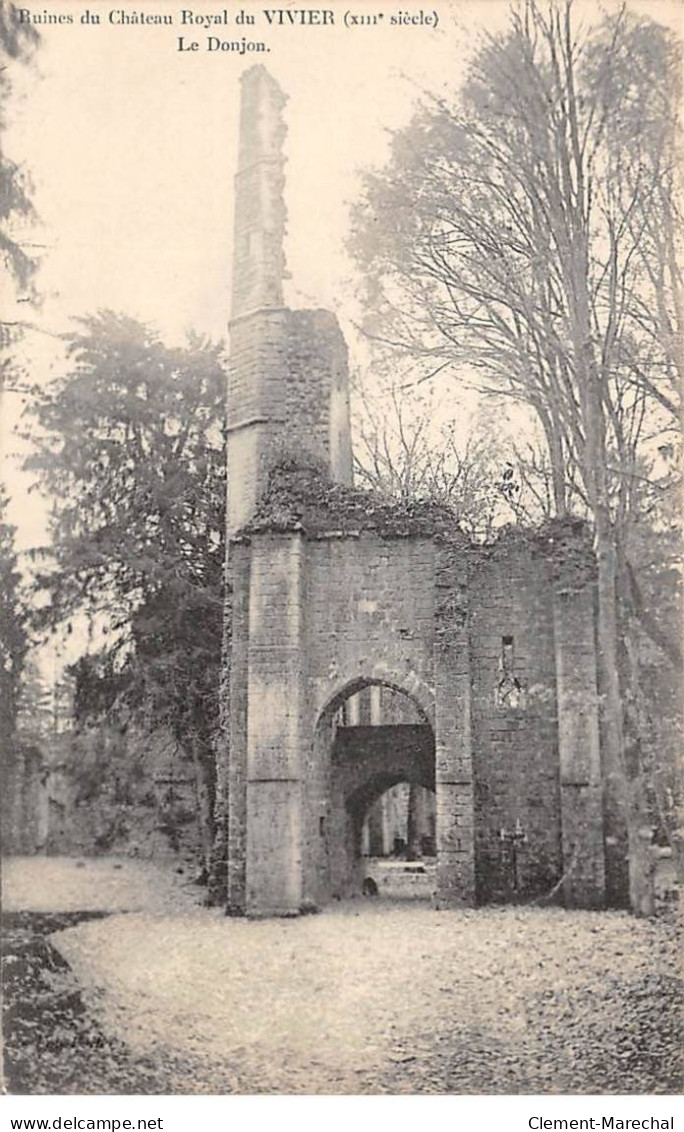 Ruines Du Château Royal Du VIVIER - Le Donjon - Très Bon état - Viviers