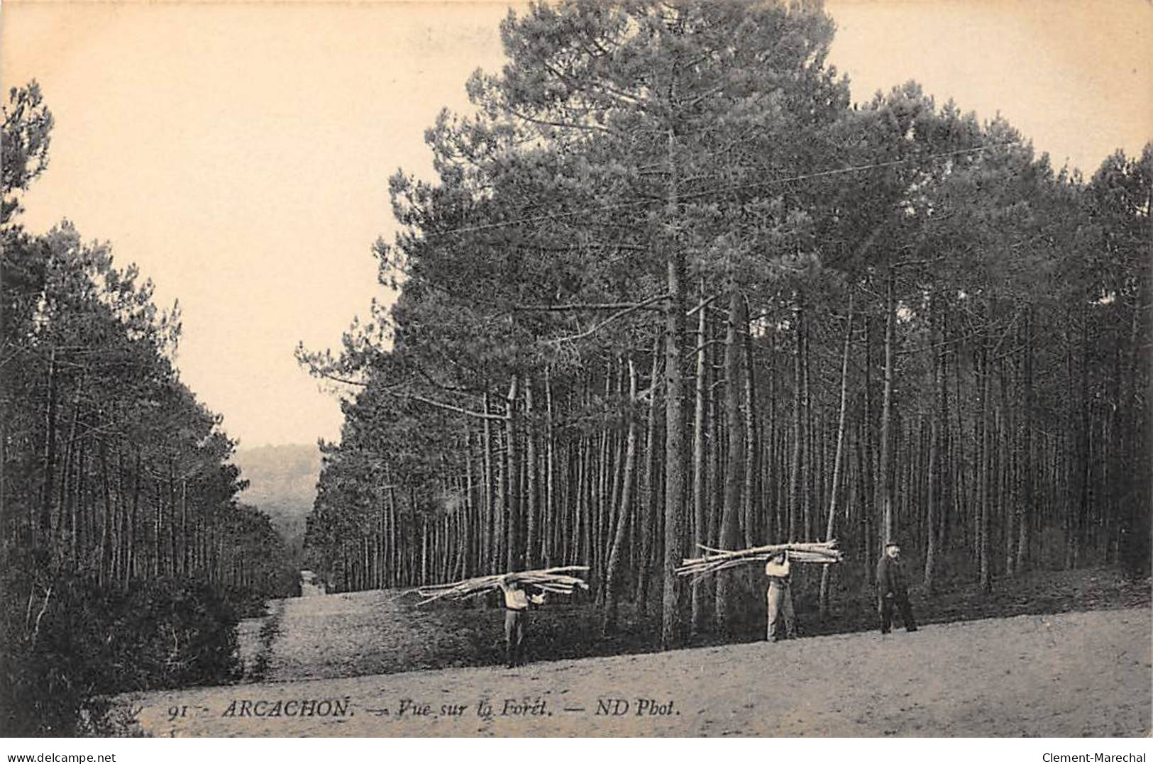 ARCACHON - Vue Sur La Forêt - Très Bon état - Arcachon
