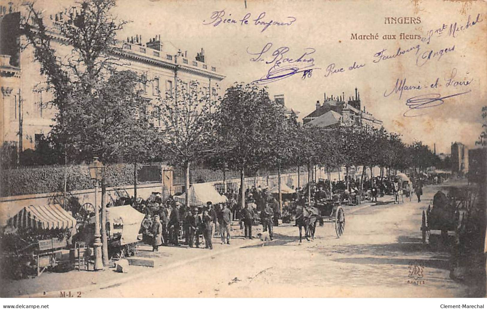 ANGERS - Marché Aux Fleurs - Très Bon état - Angers