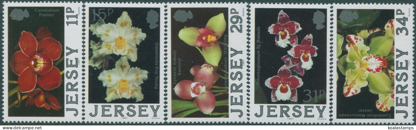 Jersey 1988 SG433-437 Orchids Set MNH - Jersey