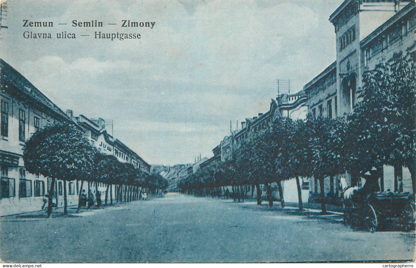 Postcard Serbia Zemun Glavna Ulica - Serbie