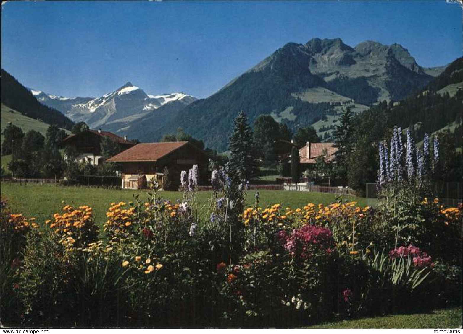 11247946 Gstaad Oldenhorn Staldenflueh Gstaad - Sonstige & Ohne Zuordnung