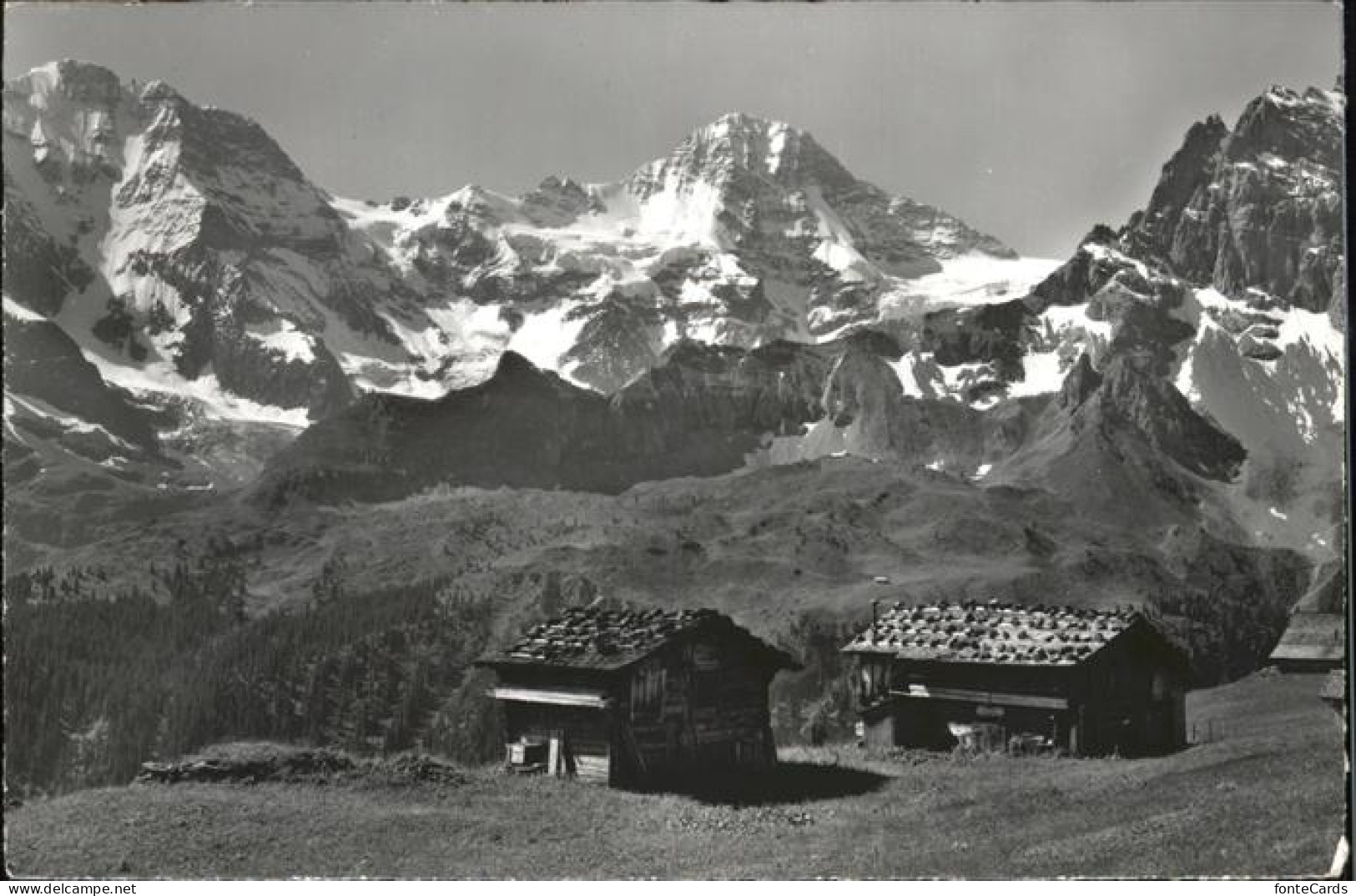 11246927 Muerren BE Gimmelen Grosshorn Breithorn Tschingelfluehe Muerren - Sonstige & Ohne Zuordnung