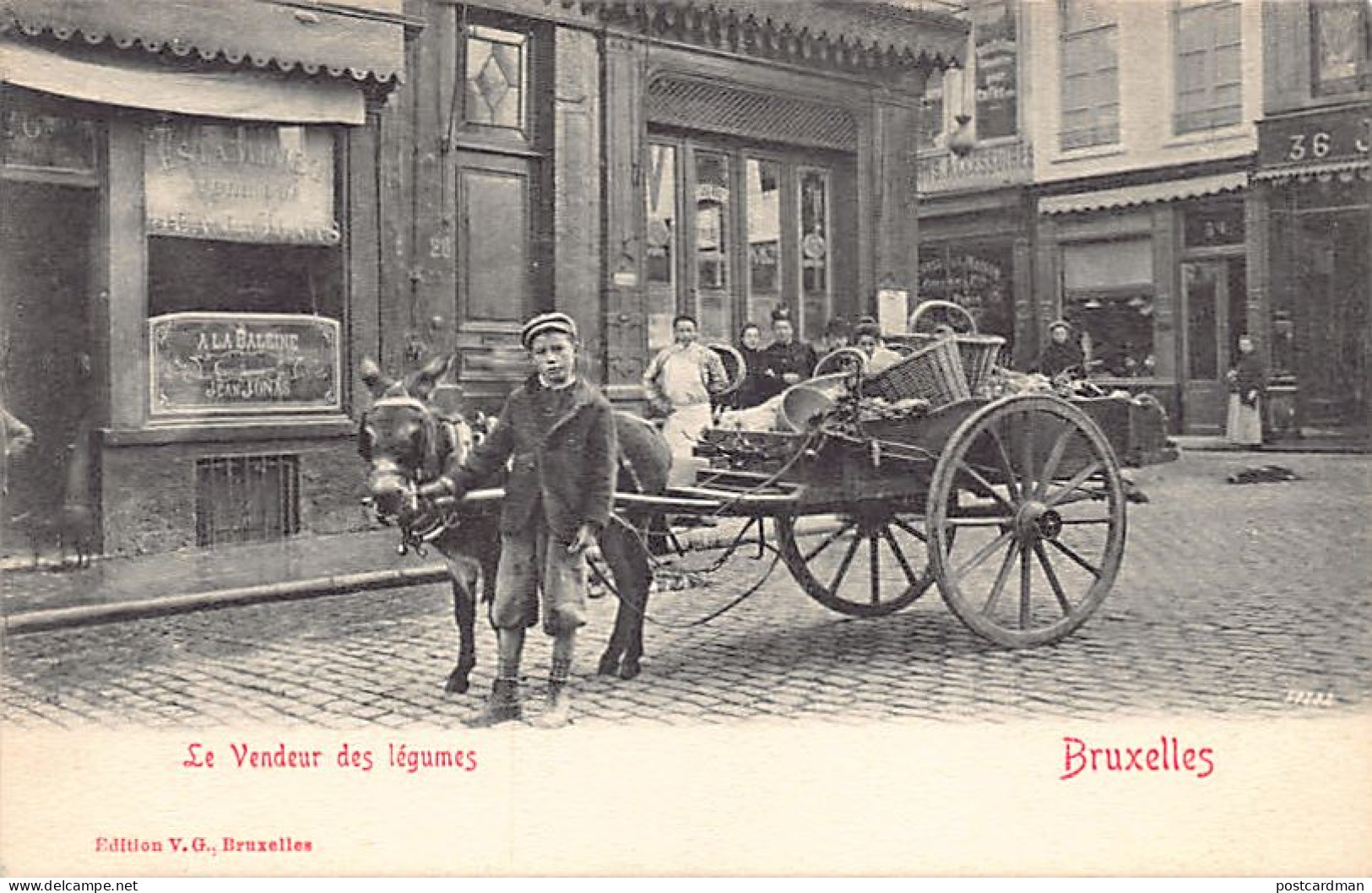 Belgique - BRUXELLES - Le Vendeur De Légumes - Ed. V. G. - Old Professions