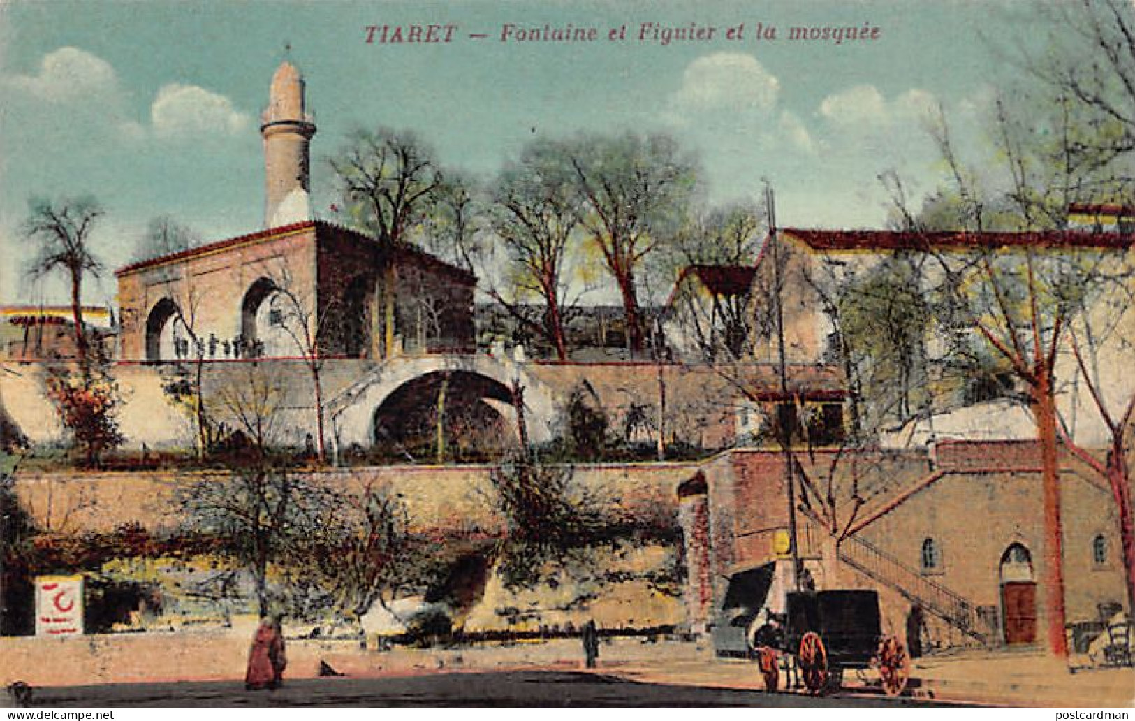 Algérie - TIARET - Fontaine Et Figuier Et La Mosquée - Ed. Gauthier  - Tiaret
