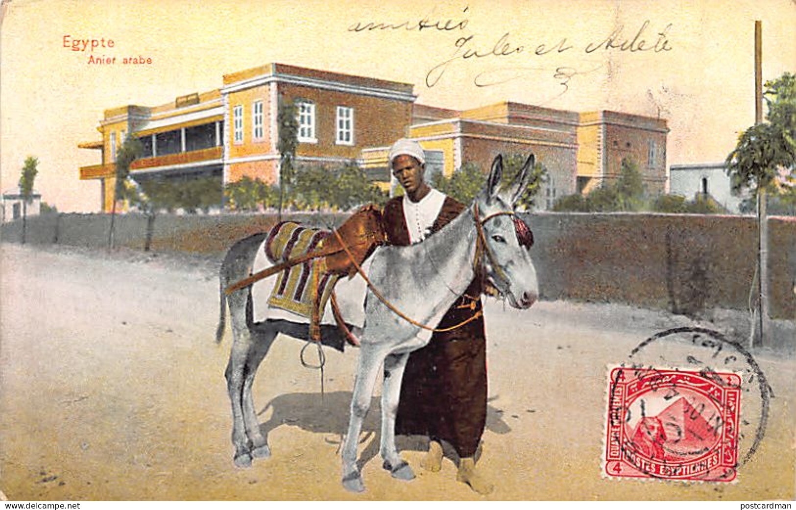 Egypt - LUXOR - Egyptian Donkey Driver - Publ. Dr. Trenkler Lur. 13 - Louxor