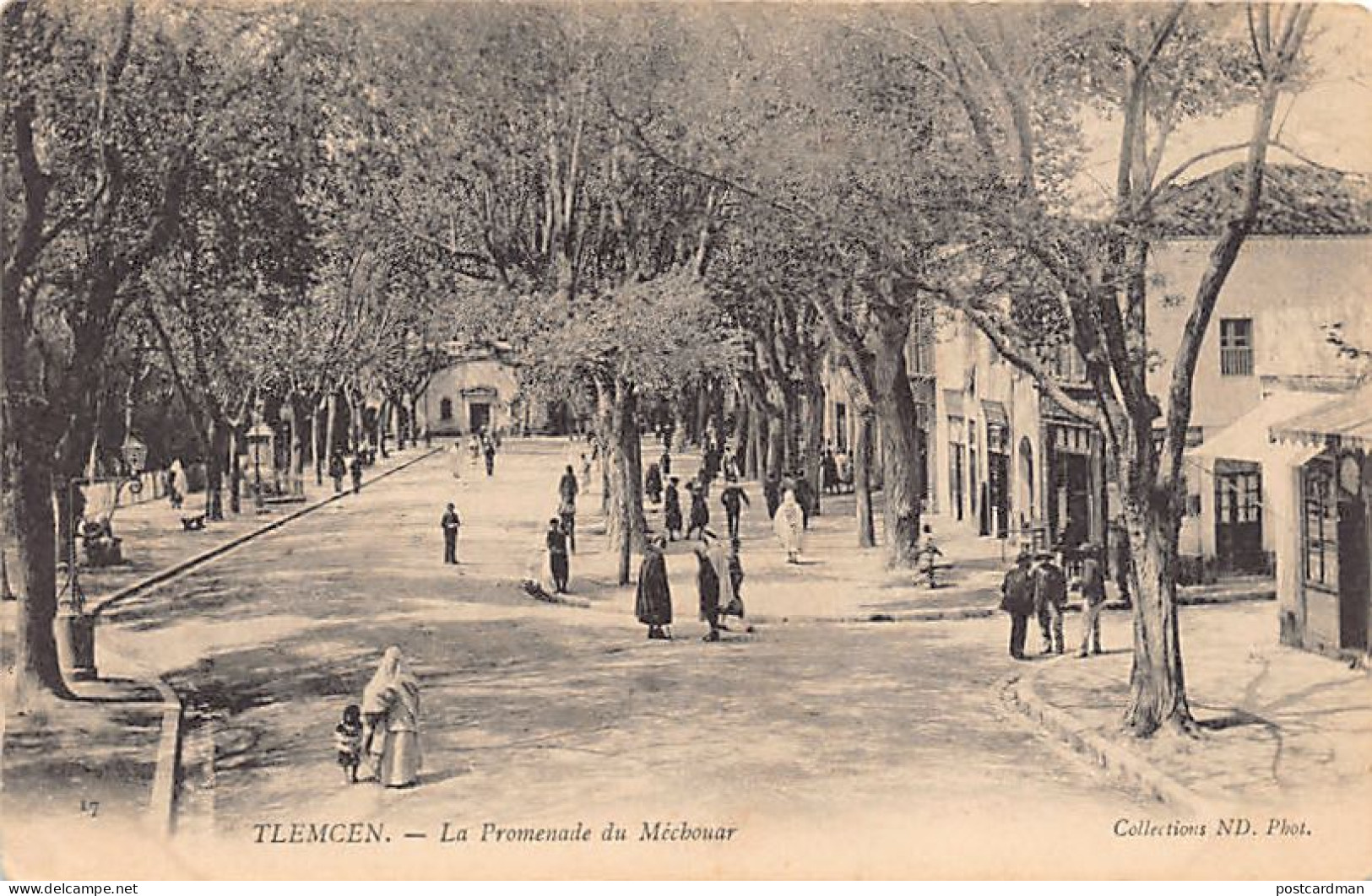 TLEMCEN - La Promenade Du Méchouar. - Tlemcen