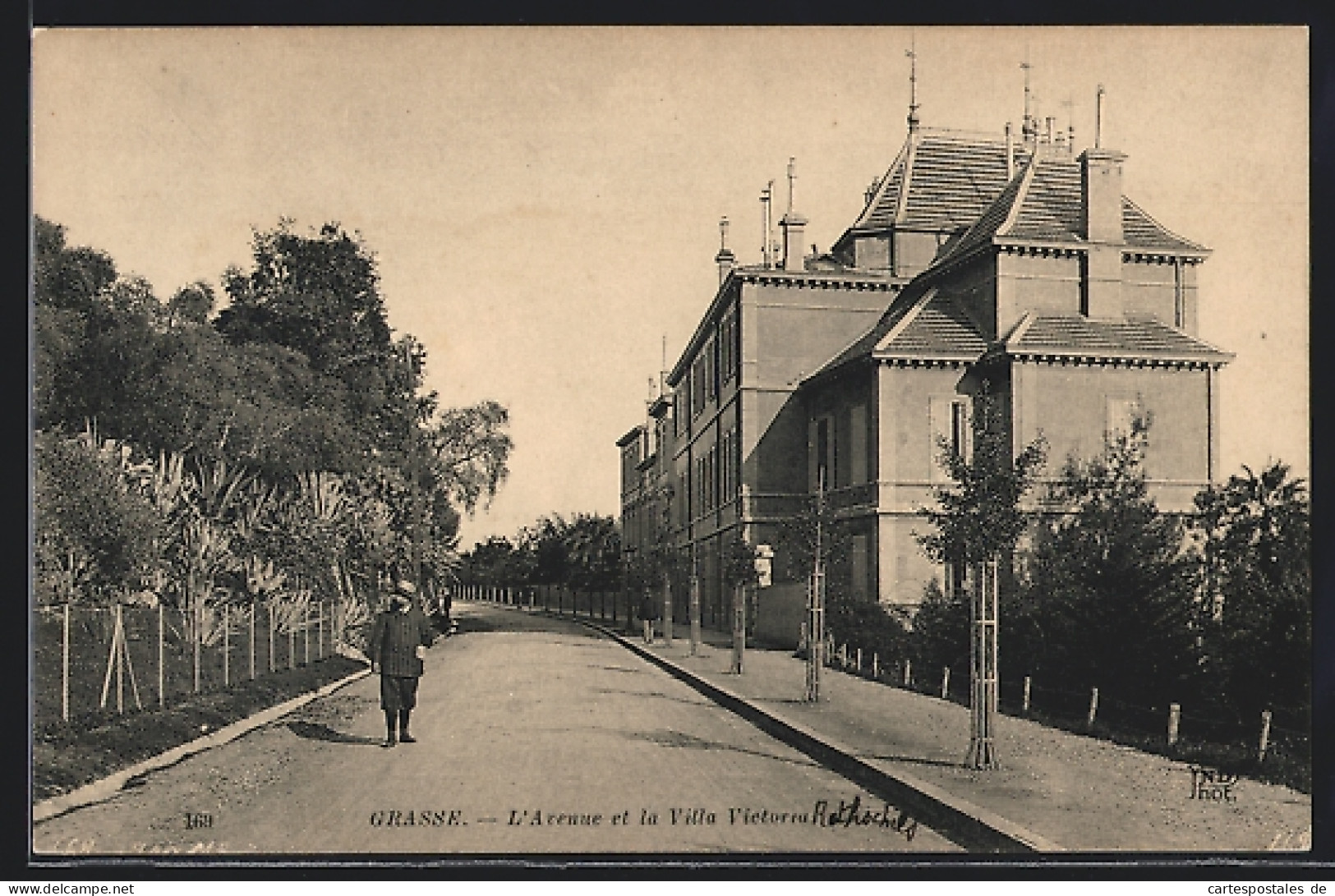 CPA Grasse, L`Avenue Et La Villa Victoria  - Grasse